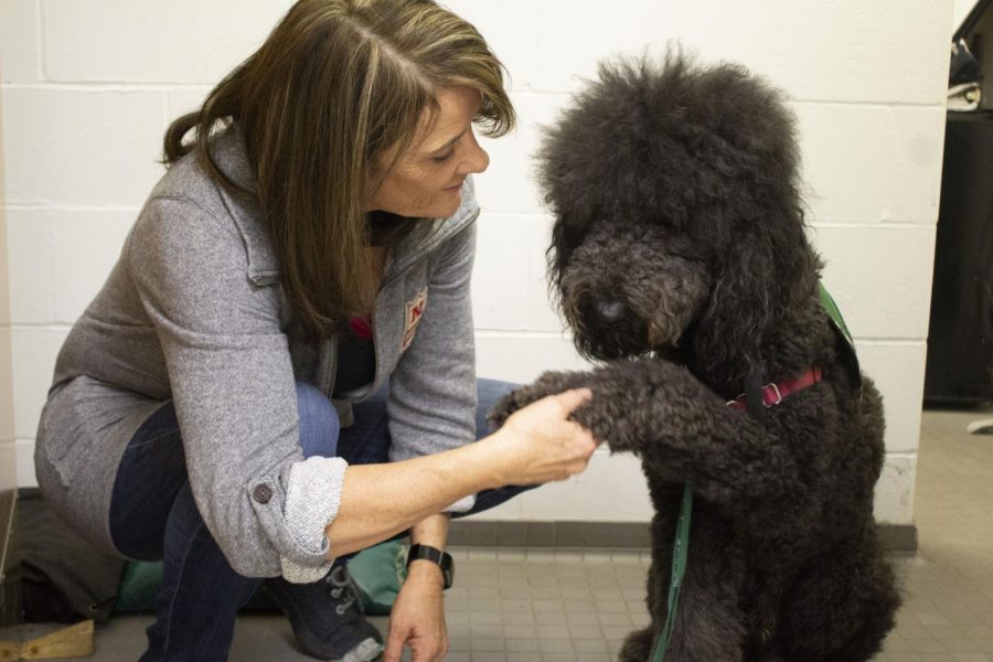 Cindy Skiles, an educational sign language interpreter, and her therapy dog Ned share a handshake. 