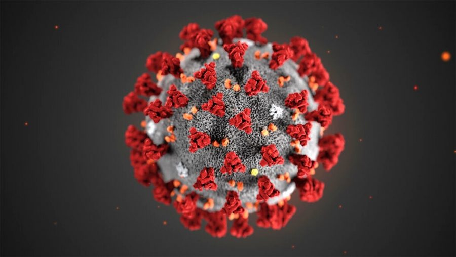 Illustration of the new Coronavirus, COVID-19