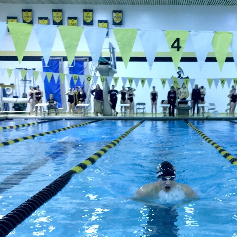 Adam Rustermier (11) takes a breath in the first heat of the boys 200 individual medley. (Brayden Adcock)