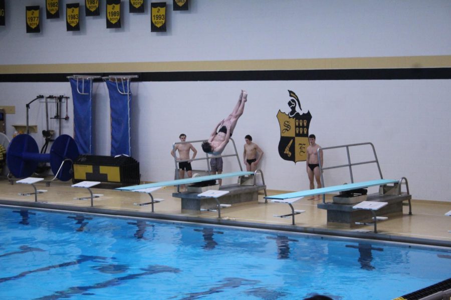 LSE Divers compete at the Heartland Athletic Conference