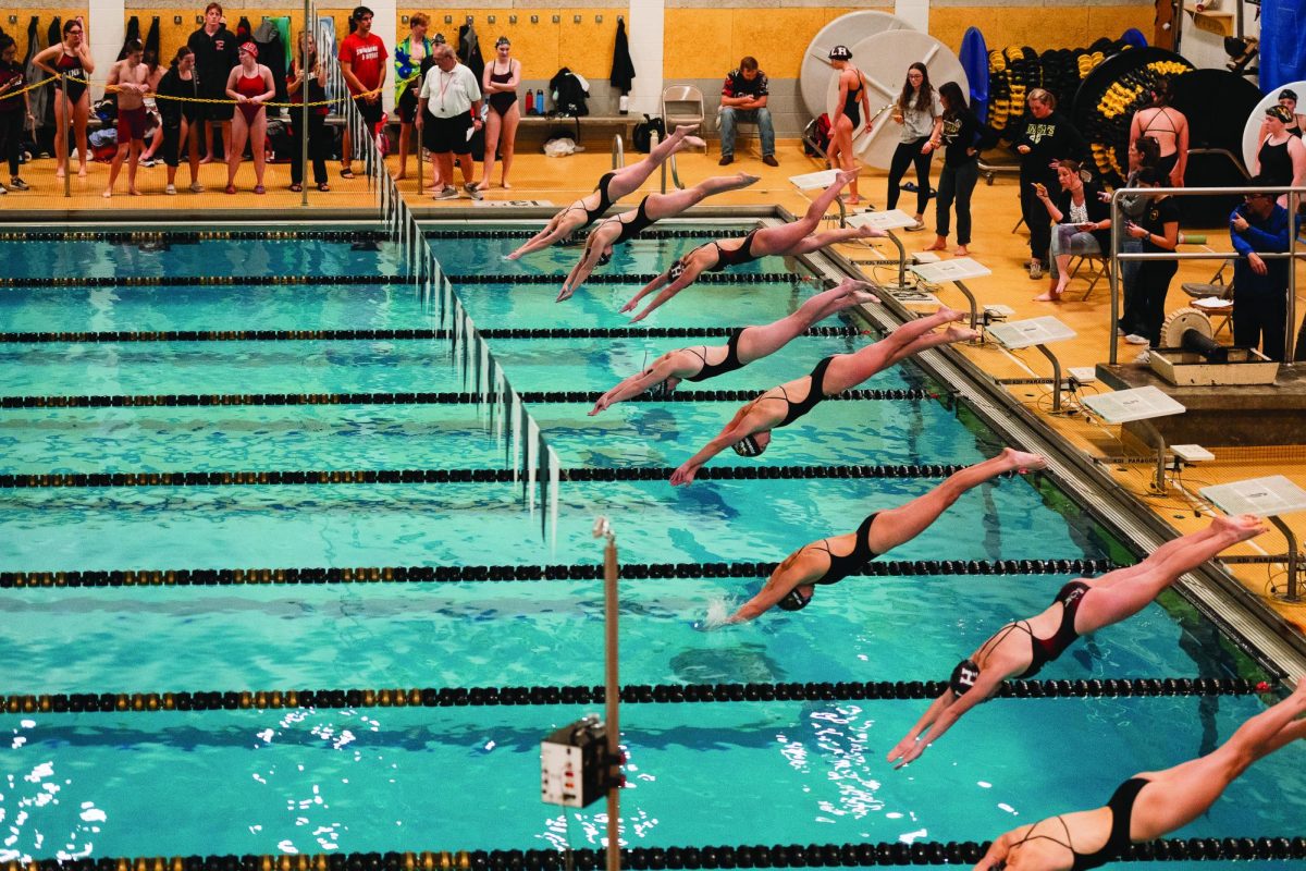 Swimmers dive in at the LSE vs. Fremont vs. LHS meet.

Photo Credit: Misty Prochaska