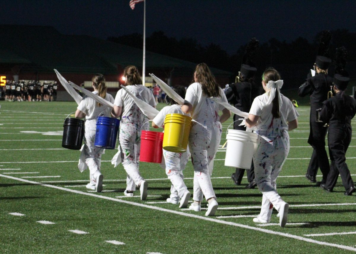 LSE Color Guard takes to the field for their halftime performance.