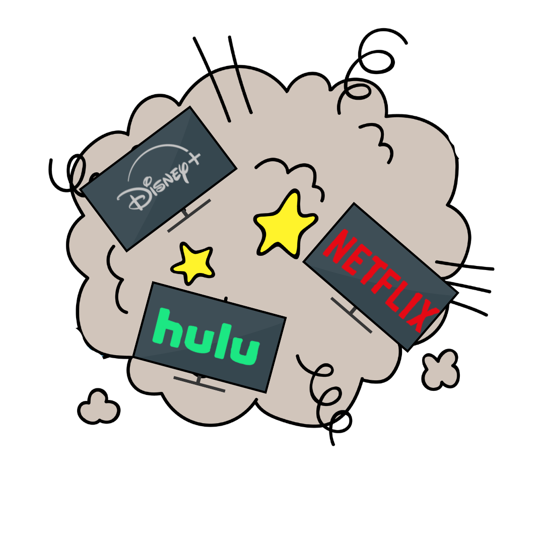 Popular streaming service fight for viewer subscriptions. 