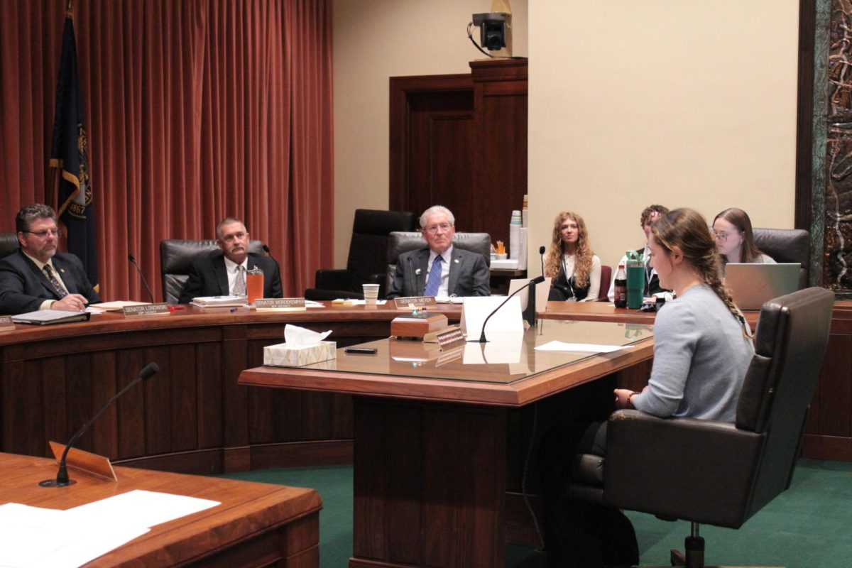 Holly Bowen testifies about LR284CA in front of a committee in the state capitol

