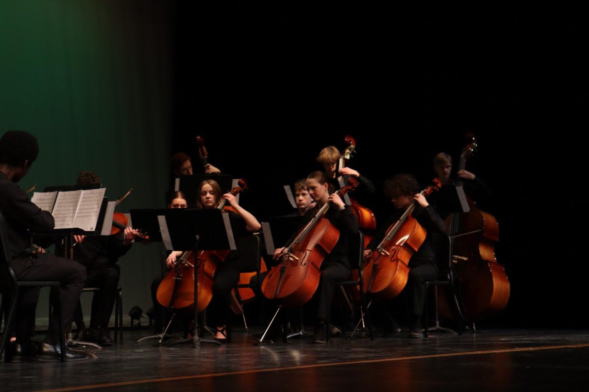 Chamber Orchestra performers “Erlkönig”, a piece telling the story of a boy who encounters the Elf King in the forest. 
